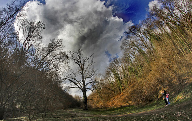 Стижу паре за чуваре природе: Државна помоћ за паркове и добра од националног значаја